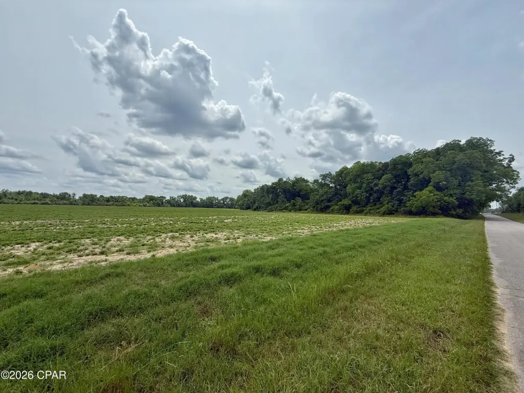 Picture 21