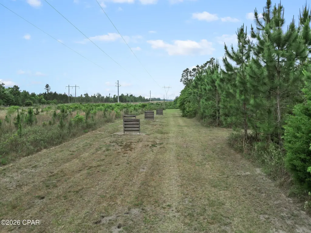 Picture 29