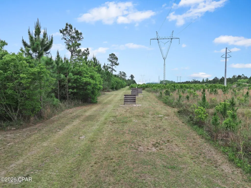 Picture 28