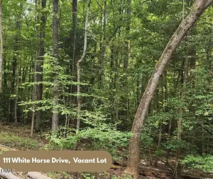 Wooded Lot in Lake Royale