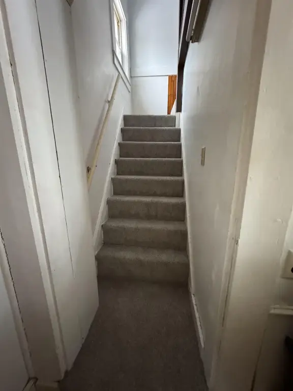 Picture 47
