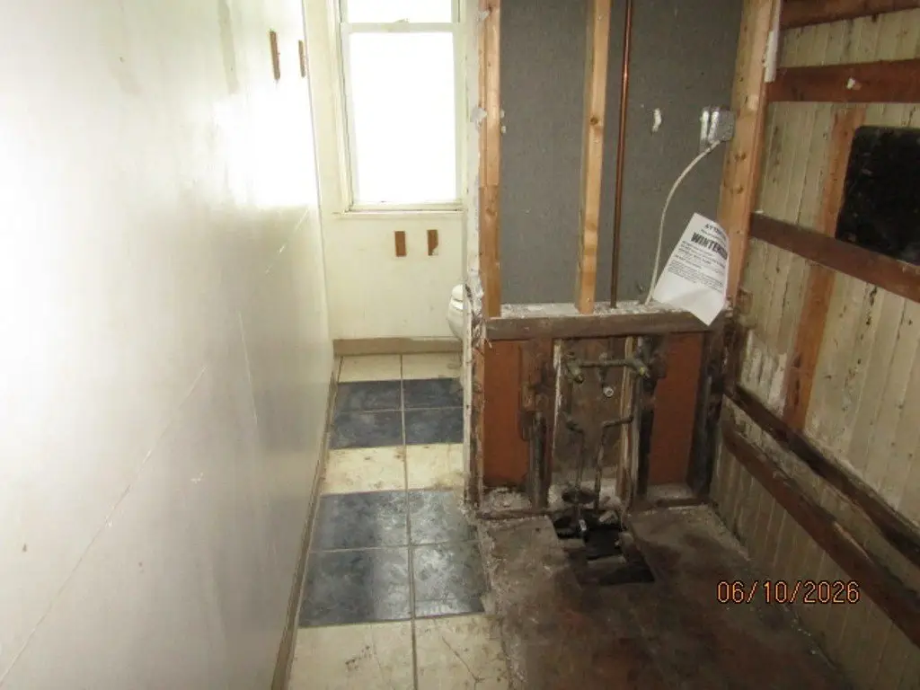 Picture 8