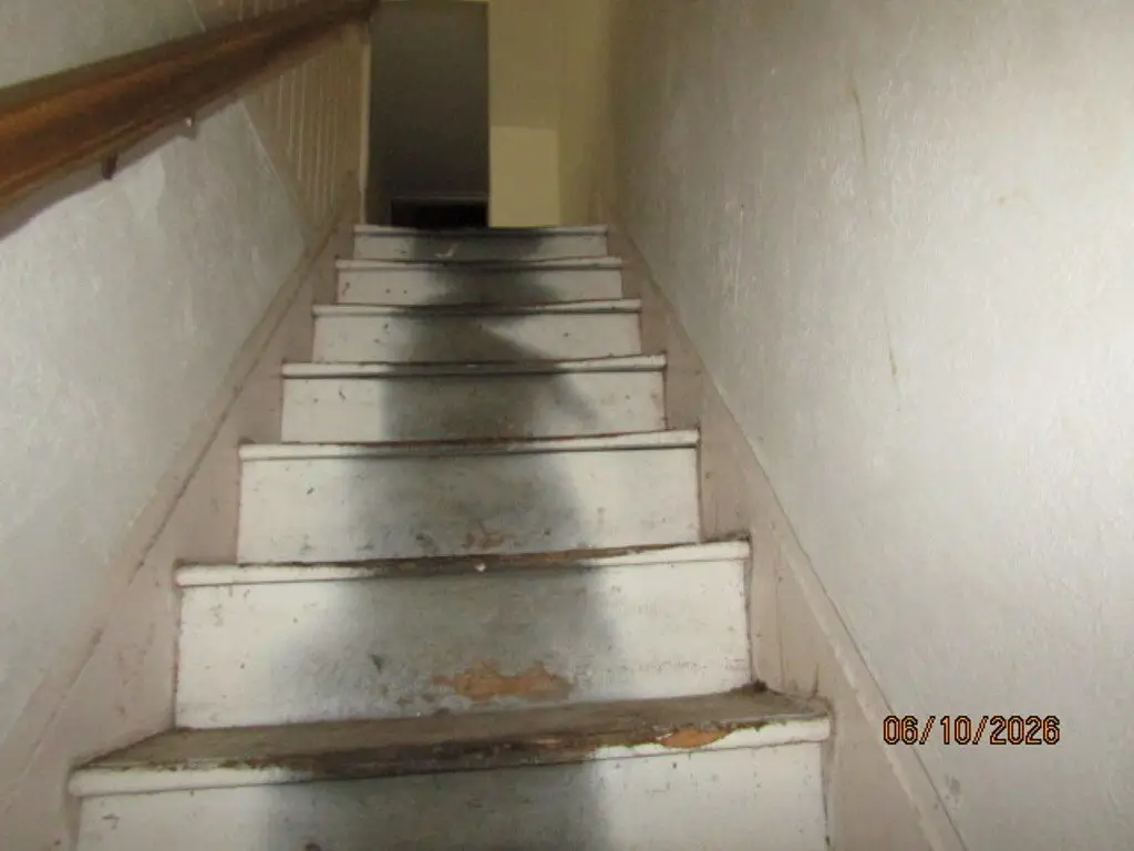 Picture 14