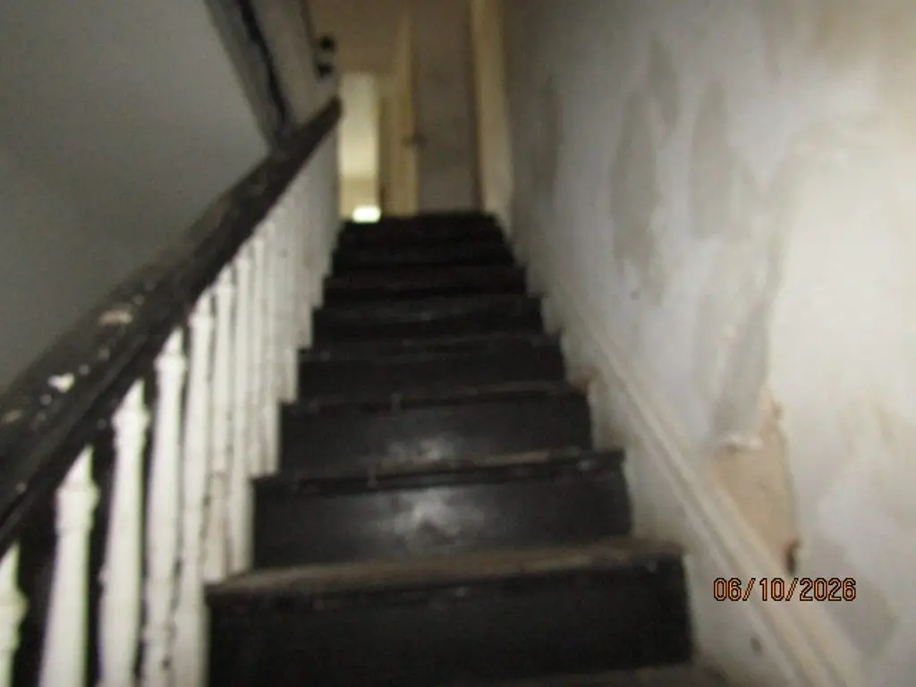 Picture 7
