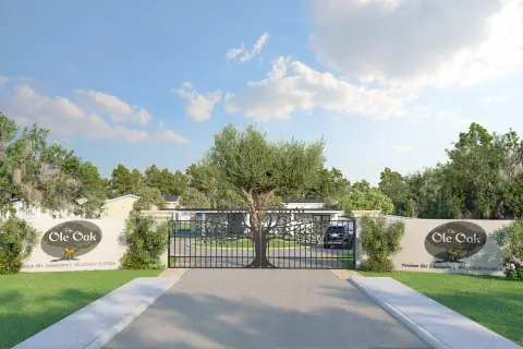 Belleview Land with Approved Plans