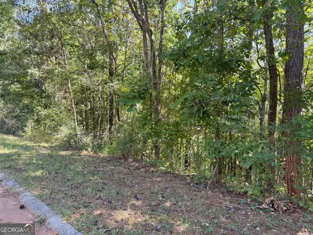 Picture 12