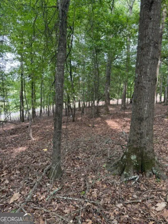Picture 12