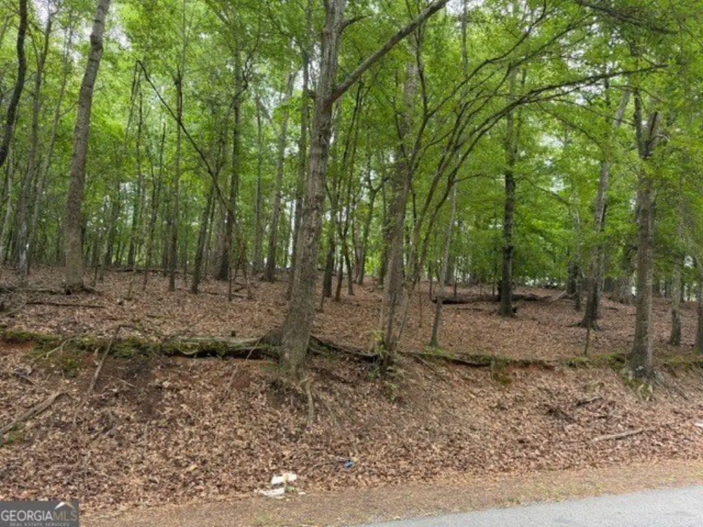 Picture 16
