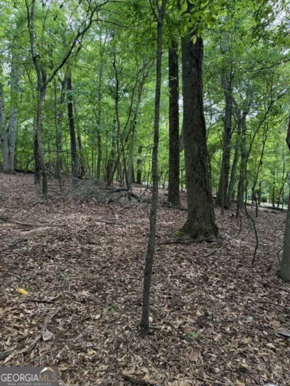 Picture 9