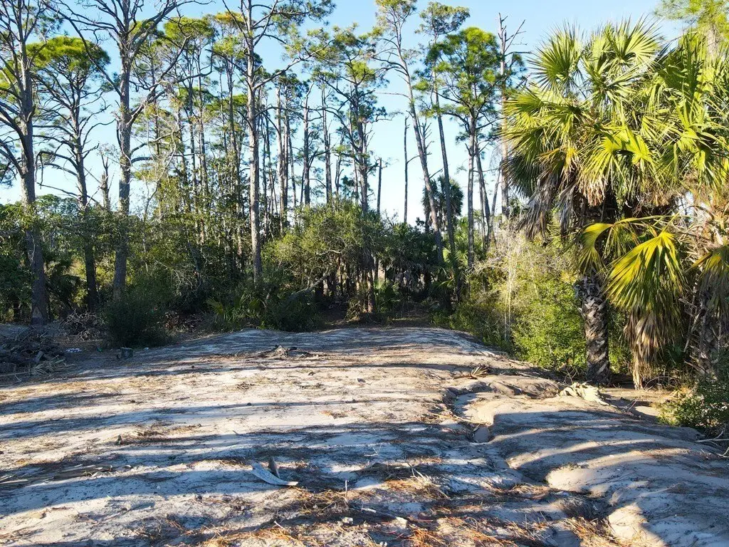 Picture 6