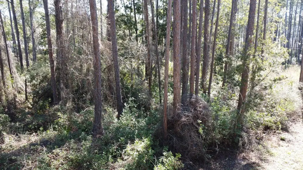 Picture 16