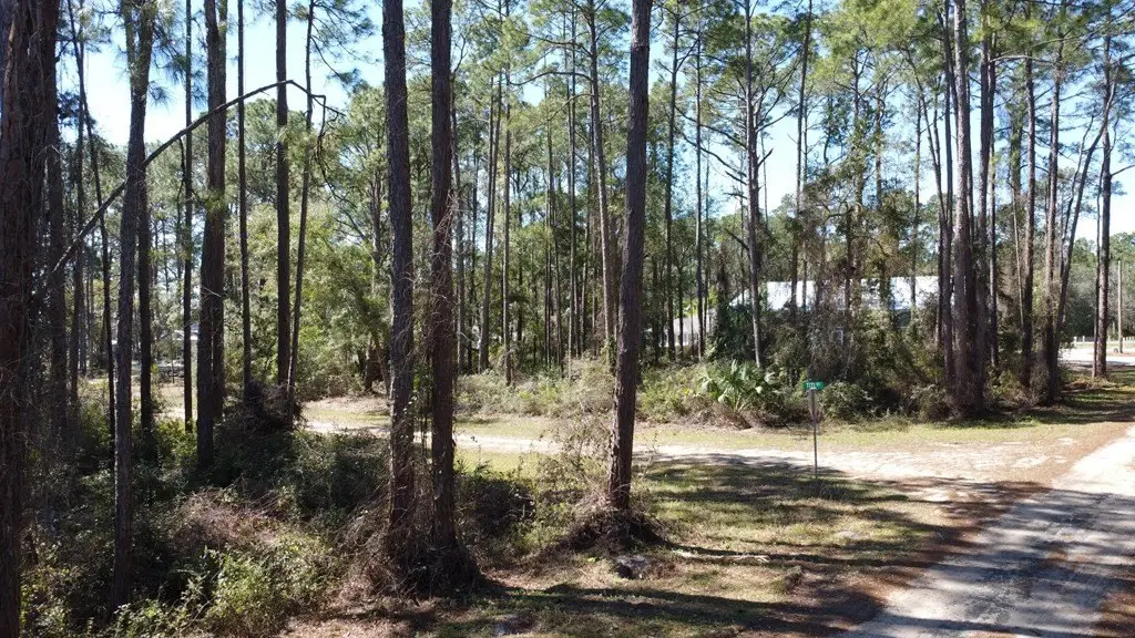 Picture 14