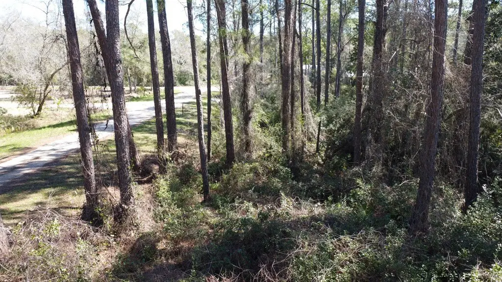 Picture 15