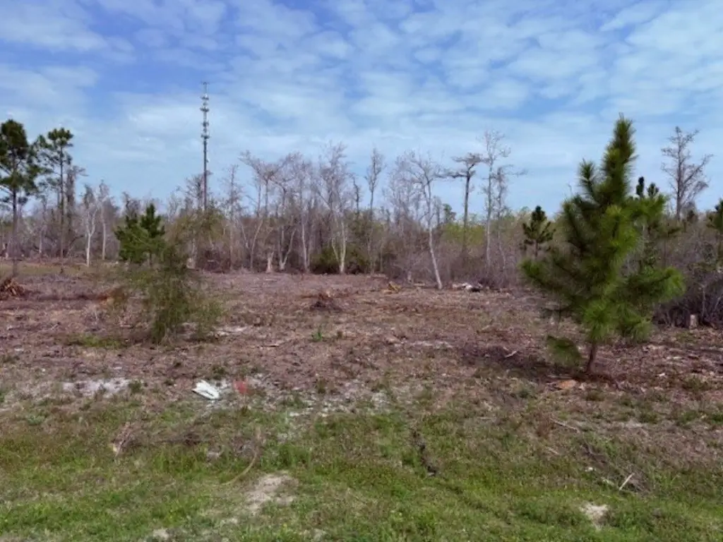 Picture 9