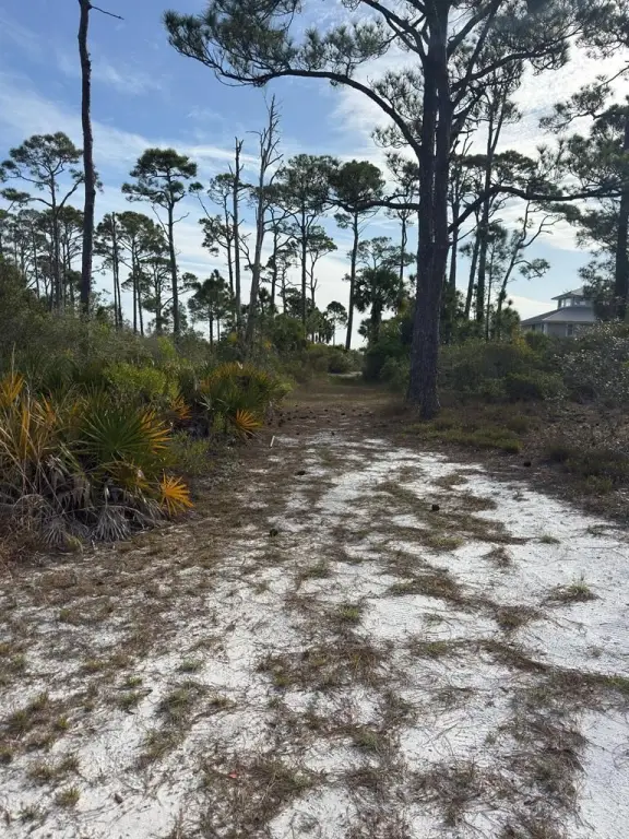 Picture 21