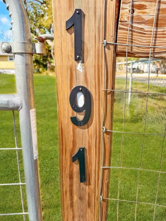 Picture 12