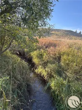 White Sulphur Springs Land Parcel