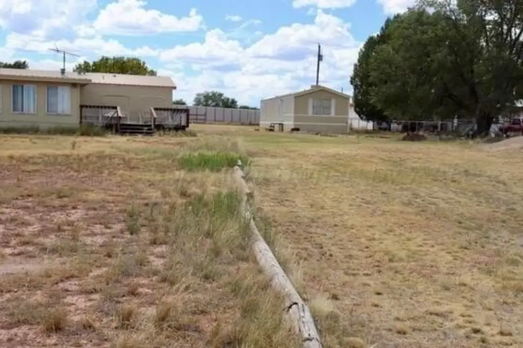 Picture 39