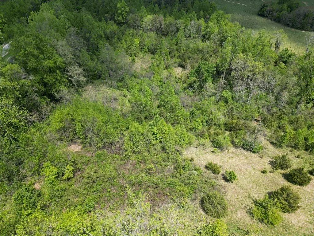 Picture 18