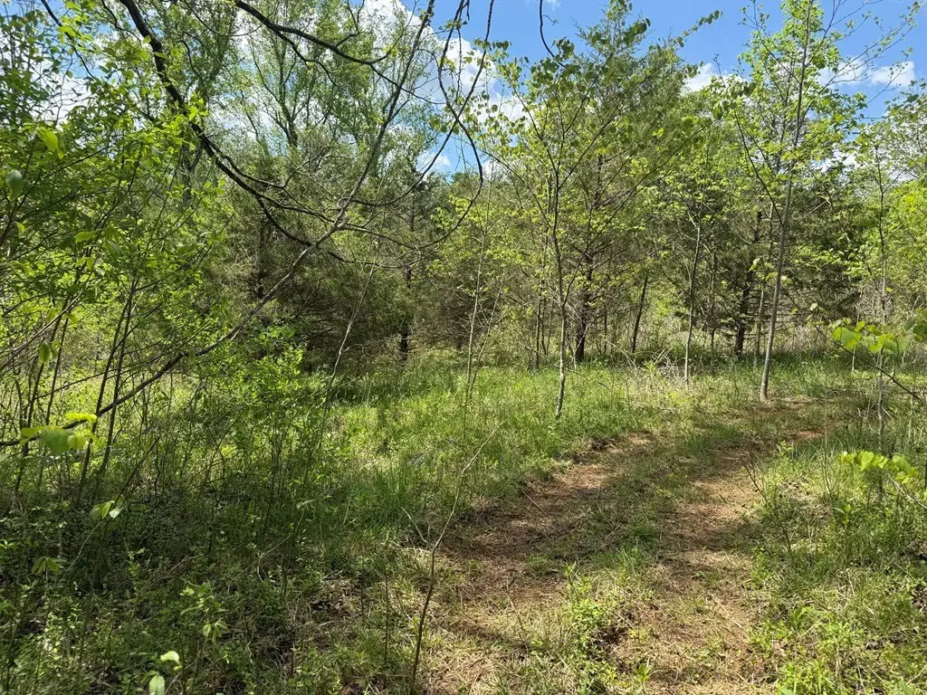 Picture 25