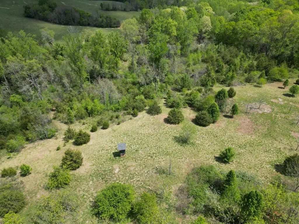 Picture 19