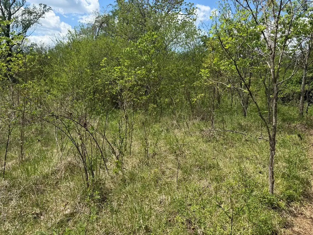 Picture 26