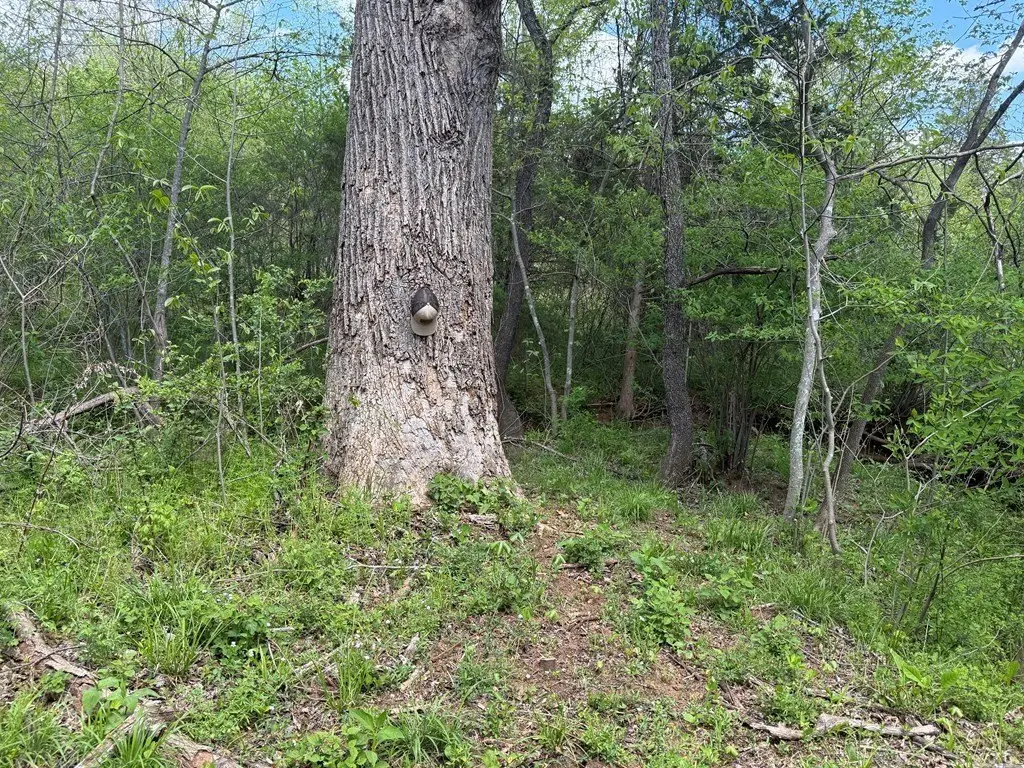 Picture 22