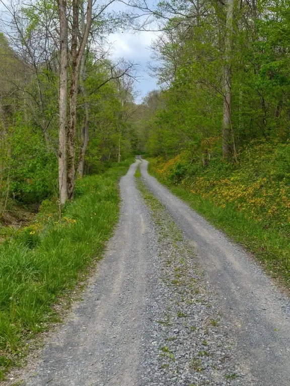 Picture 20