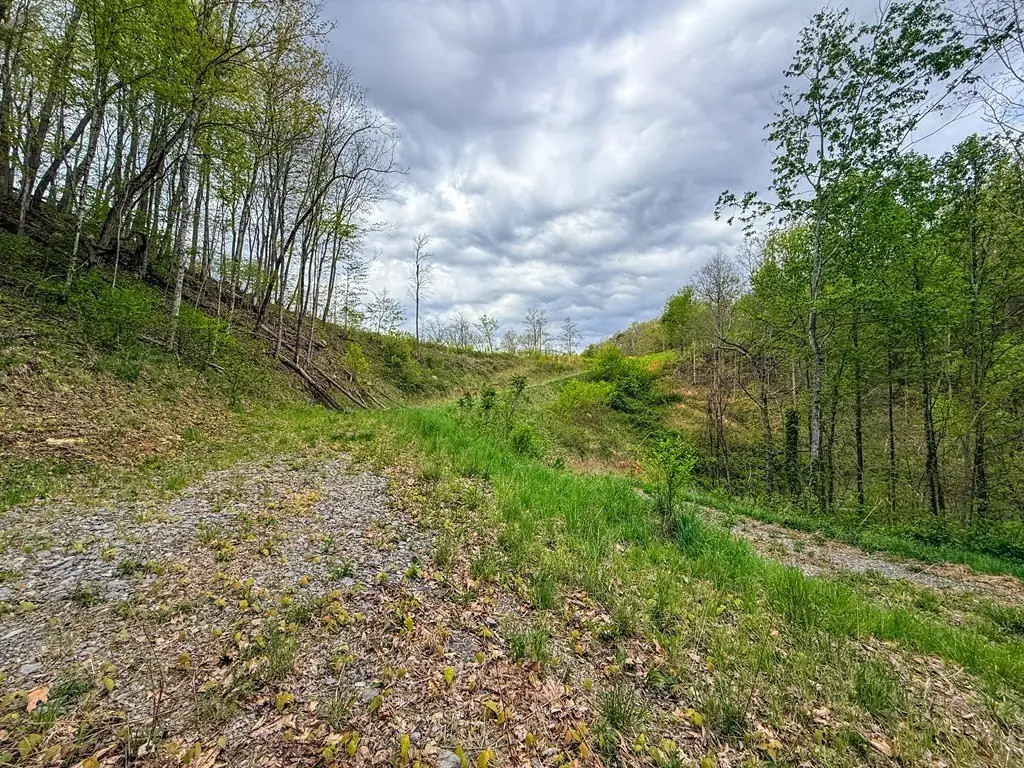 Picture 29
