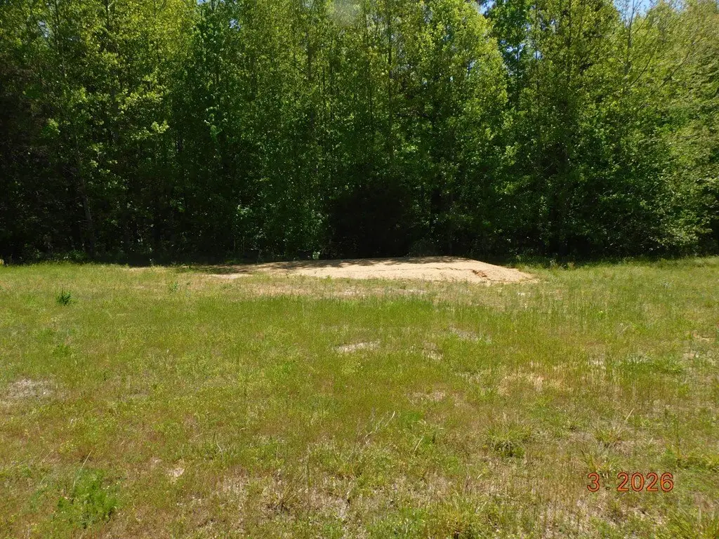 Picture 12