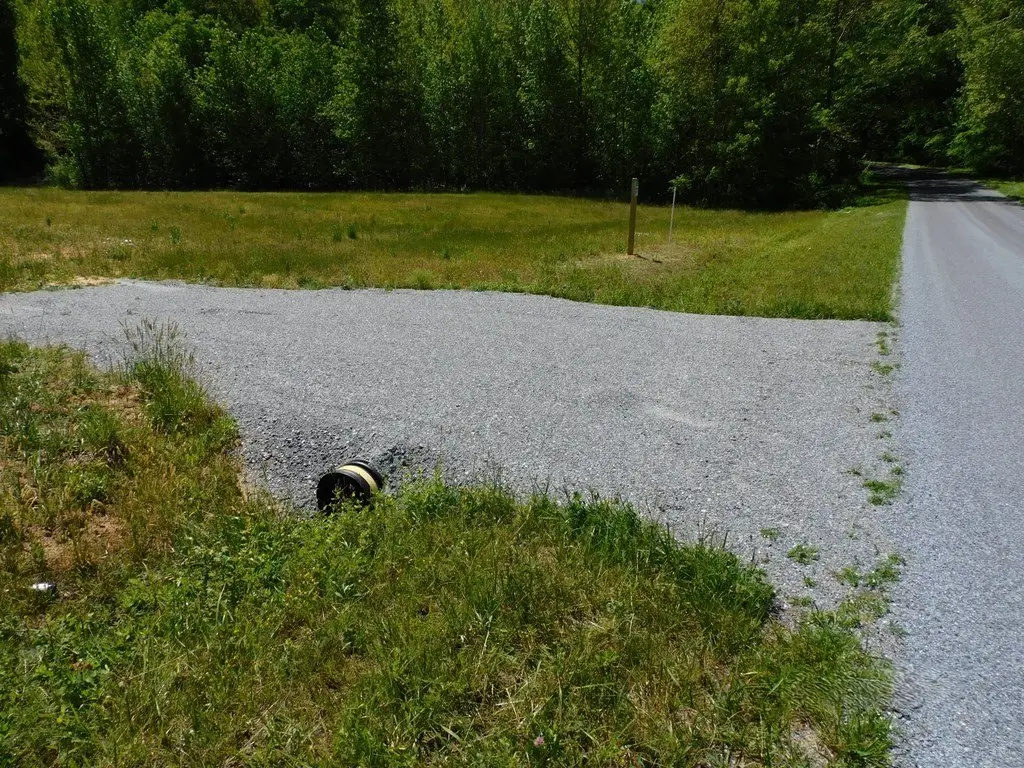 Picture 6