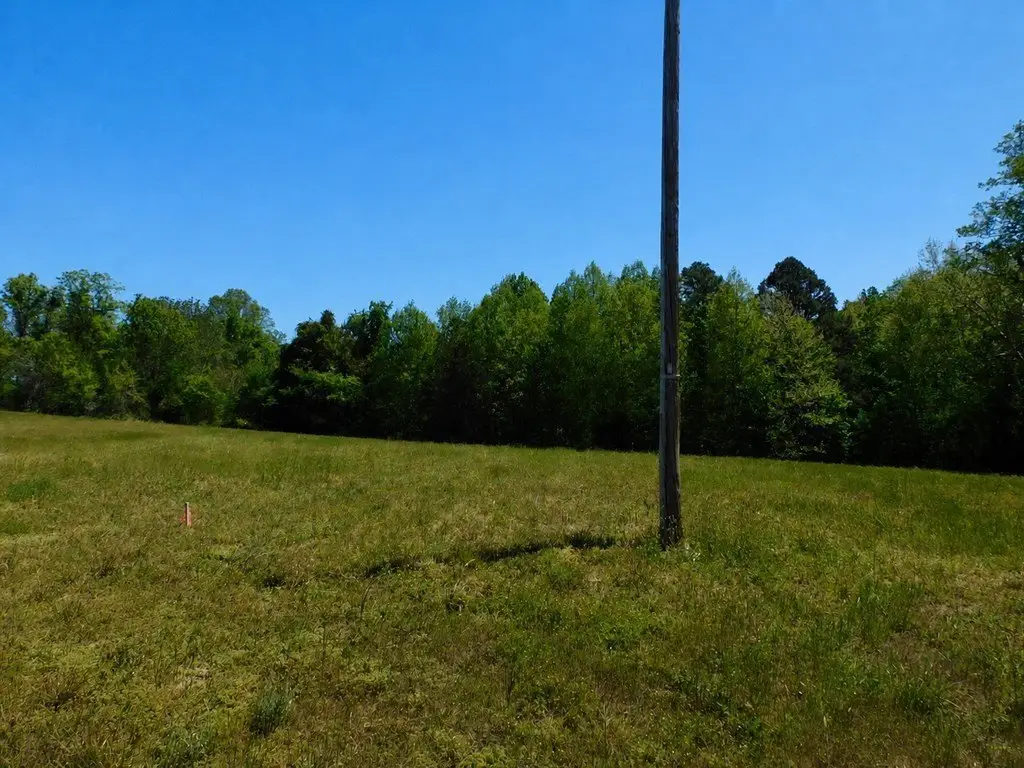 Picture 44