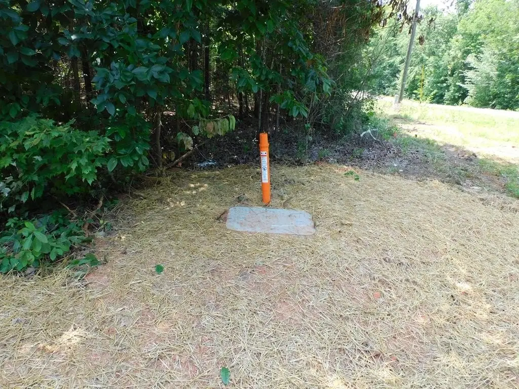 Picture 43