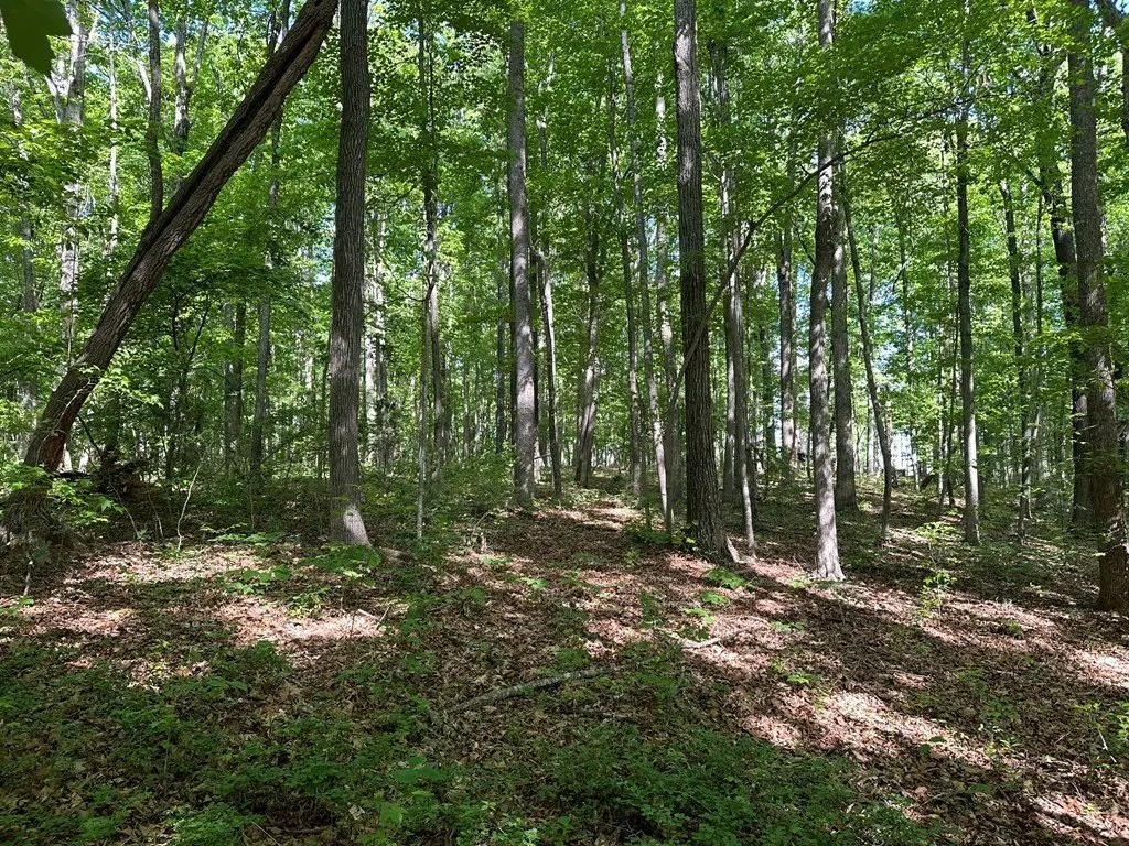Picture 18