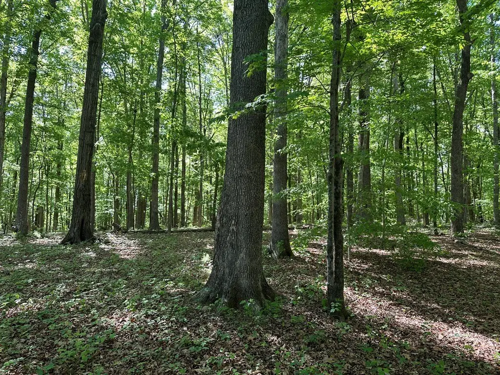 Picture 16