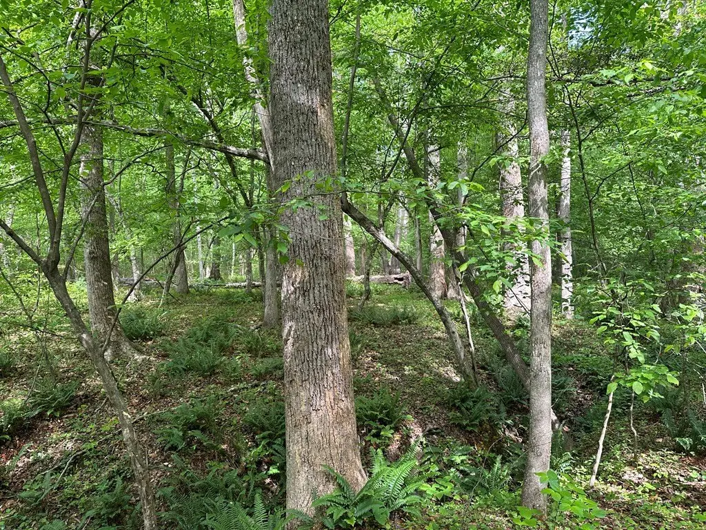 Picture 24