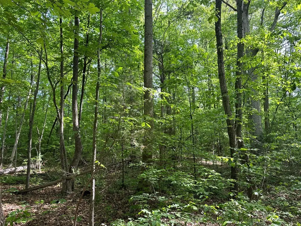 Picture 23