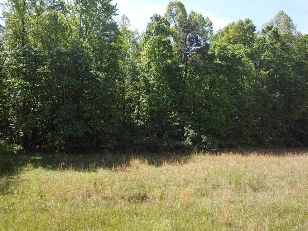 Picture 31