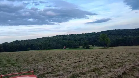 Erin, NY - 35 Acres