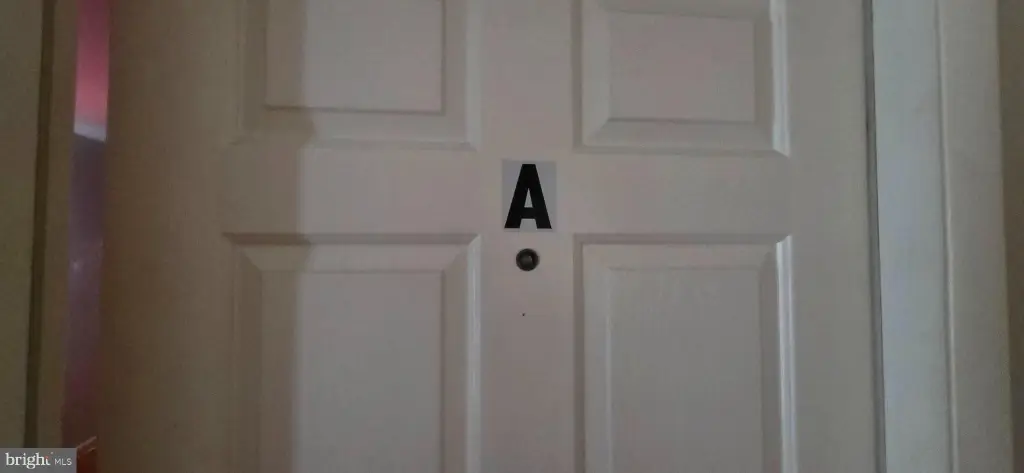 Picture 28