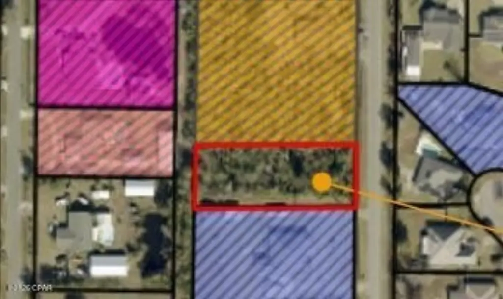 Picture 6