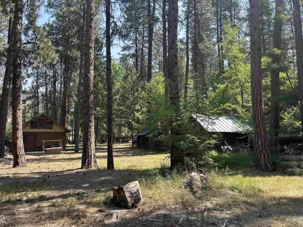 Picture 19