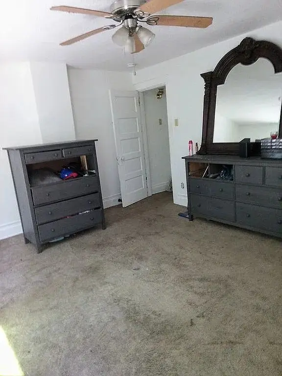 Picture 8