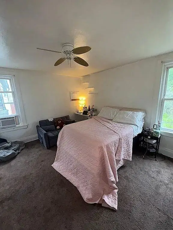 Picture 11