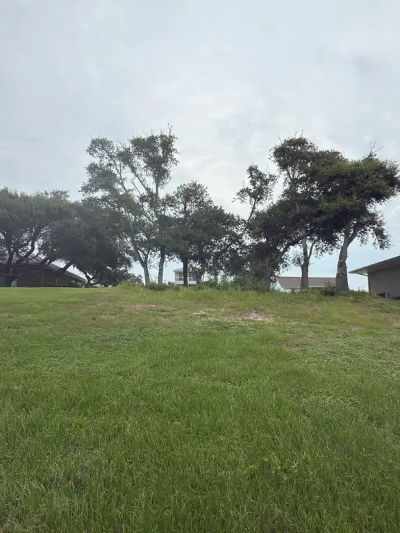 Picture 4