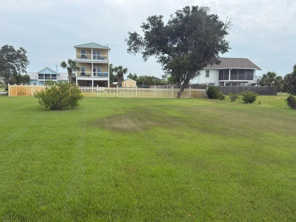 Picture 6