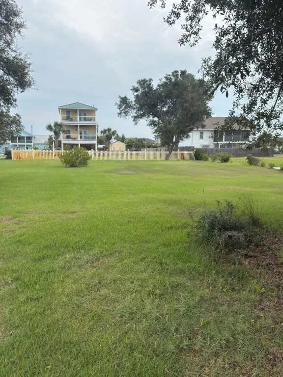 Picture 5