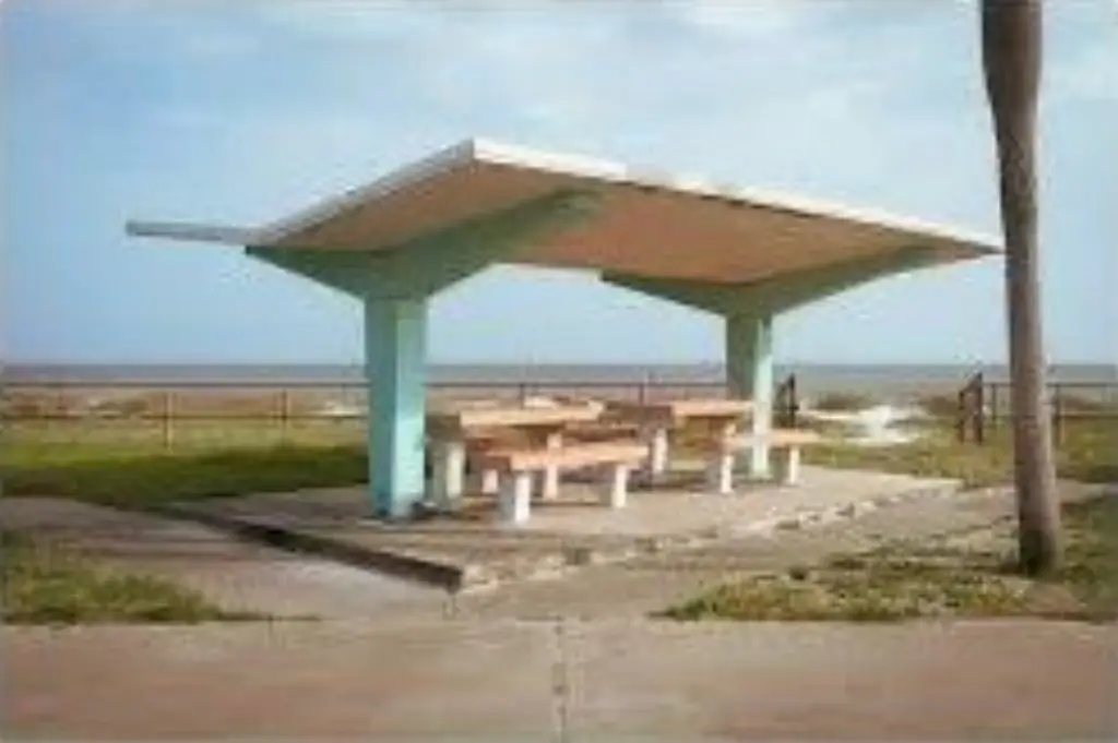 Picture 15