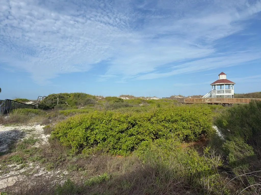 Picture 10