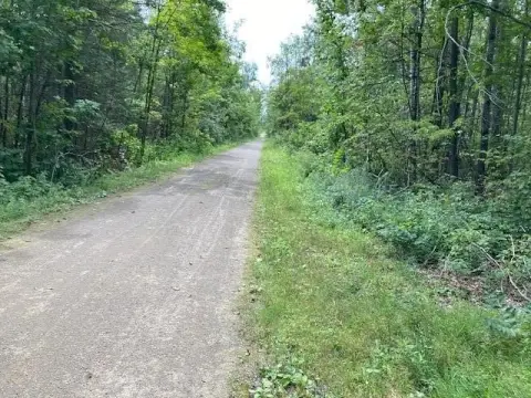 Recreational Land Near Mackinaw Trails